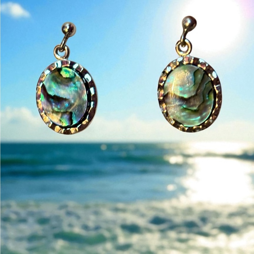 💗💗💗Stainless steel Elegant‎ Abalone Shell Drop Earrings necklace set